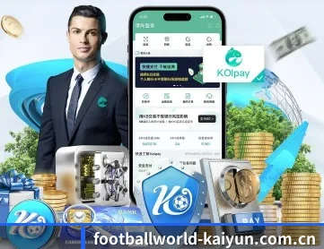 开云官网入口 APP 深度功能