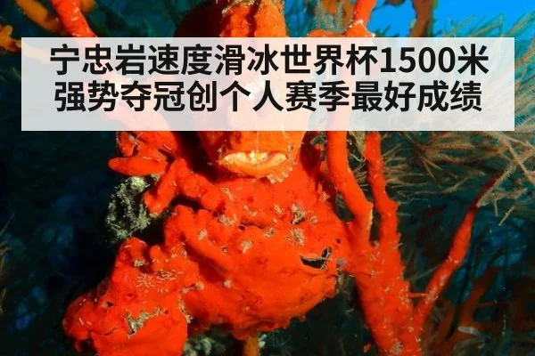 宁忠岩速度滑冰世界杯1500米强势夺冠创个人赛季最好成绩